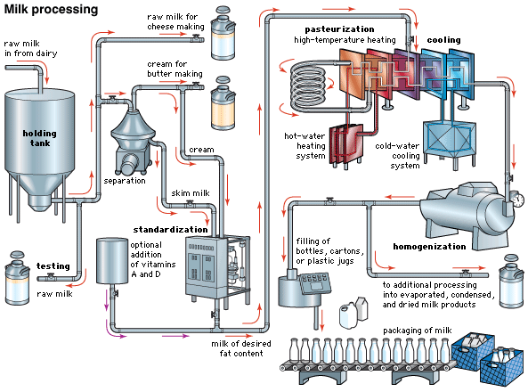 steam boilers