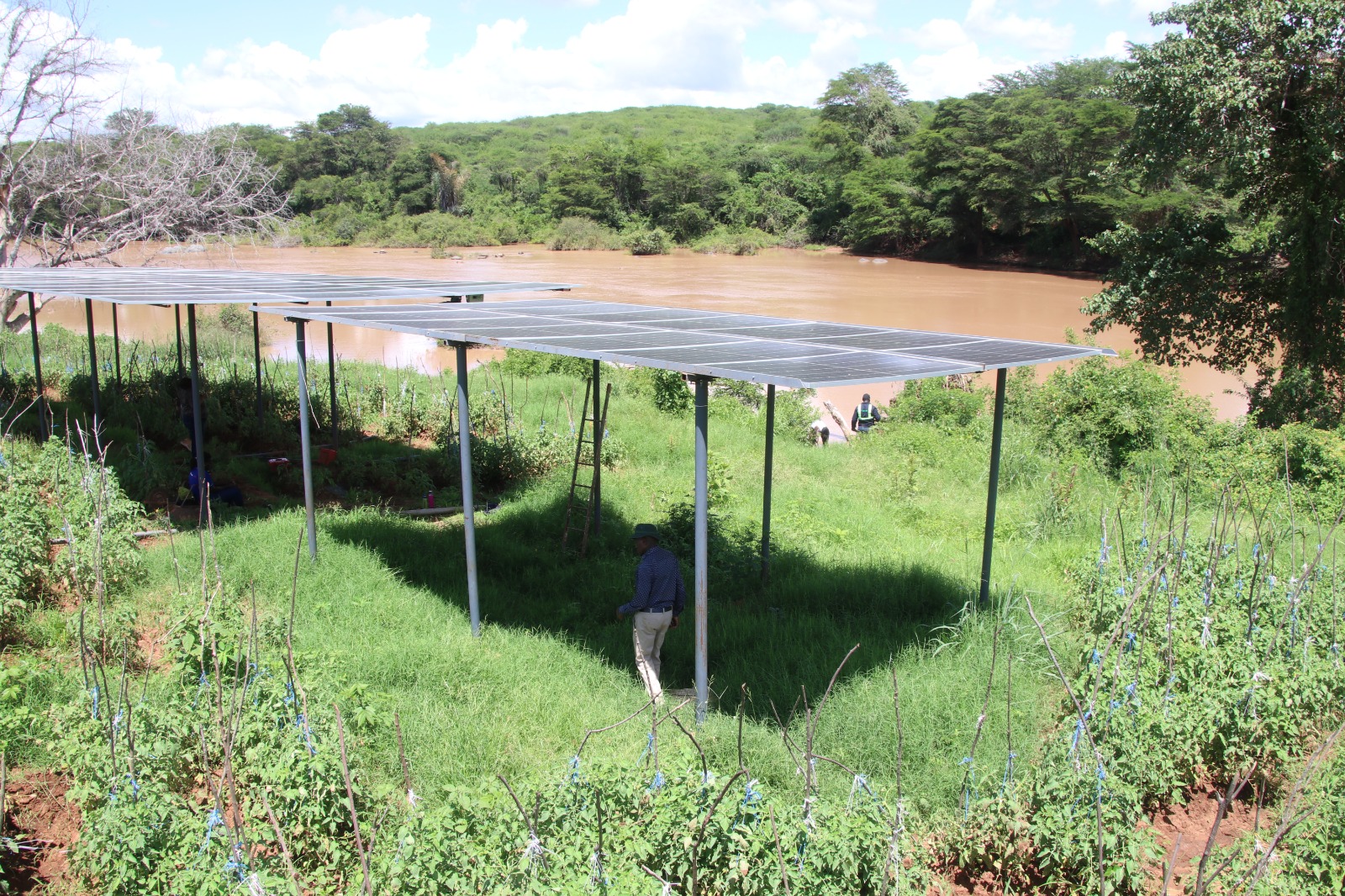 Solar panels over water source for irrigation